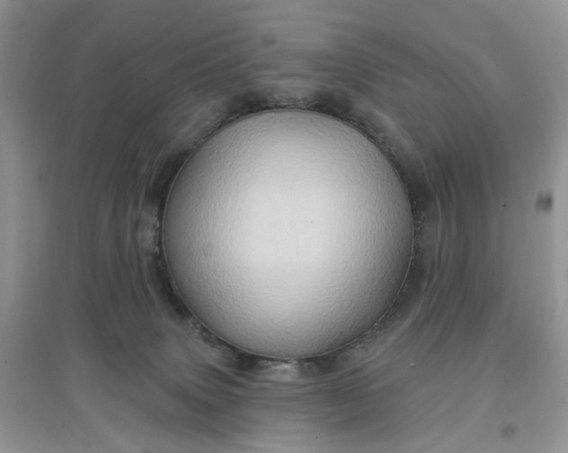 X0000097650083200803142119