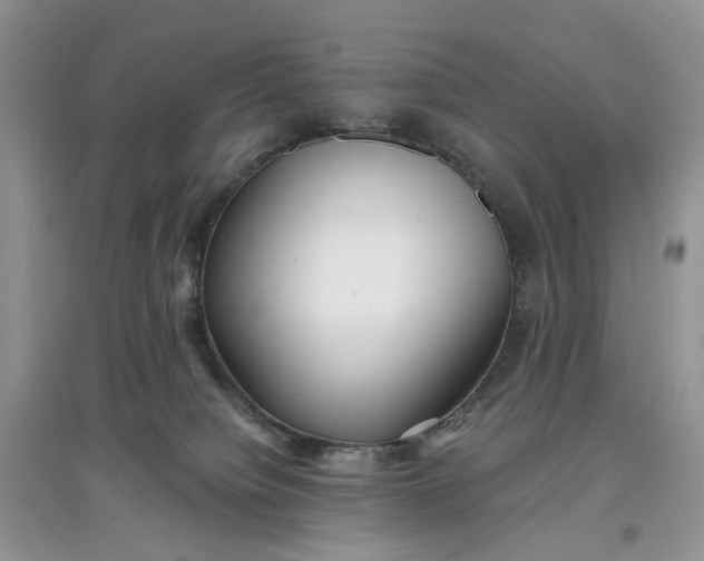 X0000097650084200803142119