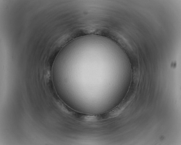 X0000097650085200803142119