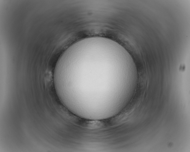 X0000097650087200803142119