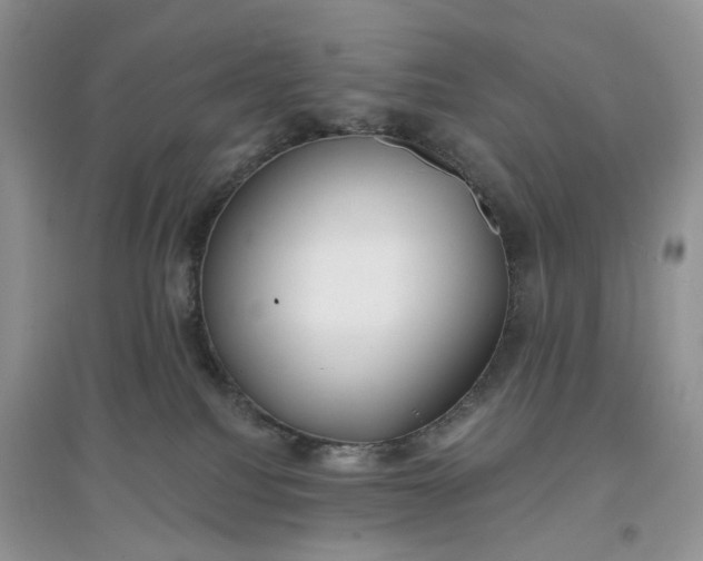 X0000097650088200803142119