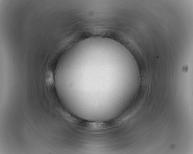 X0000097650089200803142119