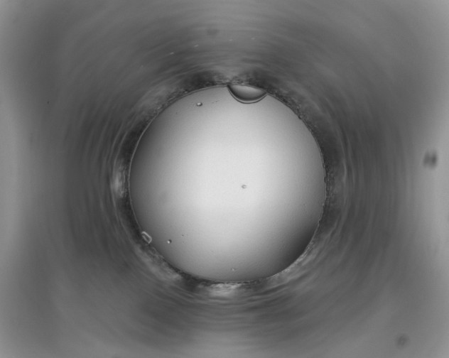 X0000097650090200803142119