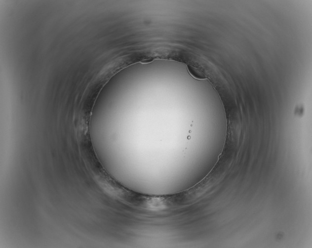 X0000097650091200803142119