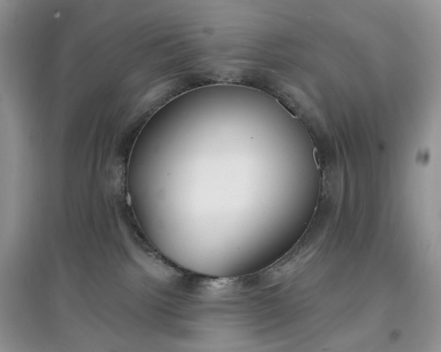 X0000097650092200803142119