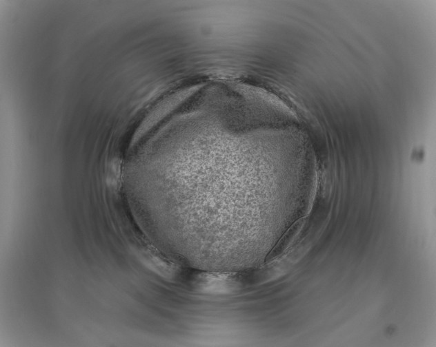 X0000097650093200803142119