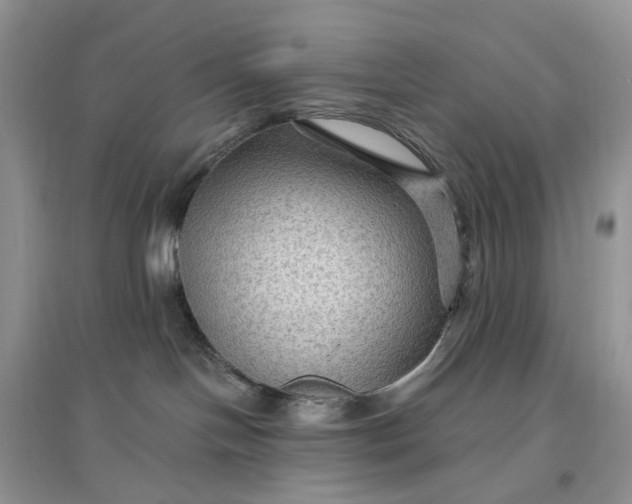 X0000097650094200803142119