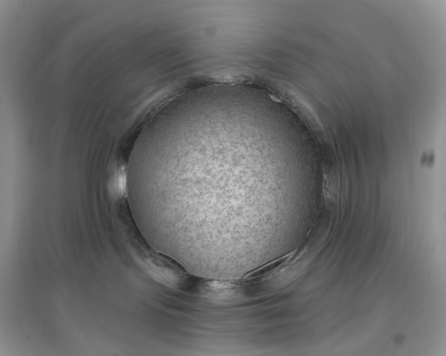 X0000097650095200803142119