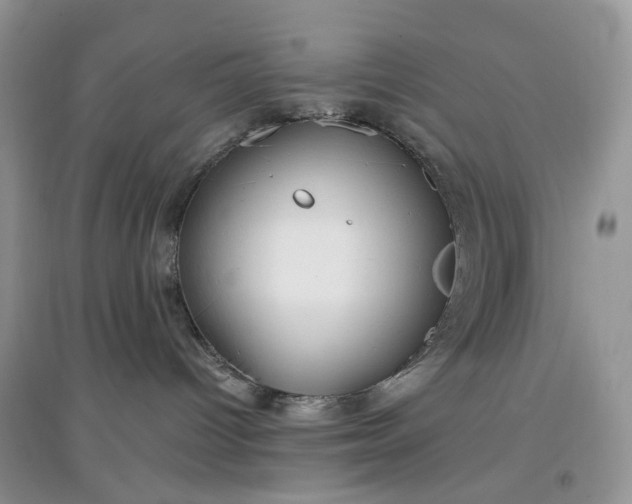 X0000097650096200803142119