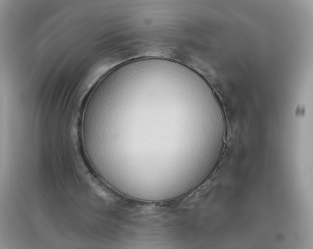 X0000097650098200803142118