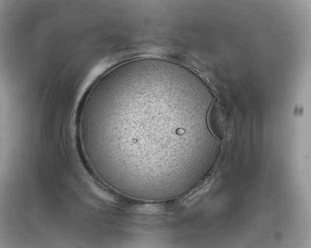 X0000097650102200803142118