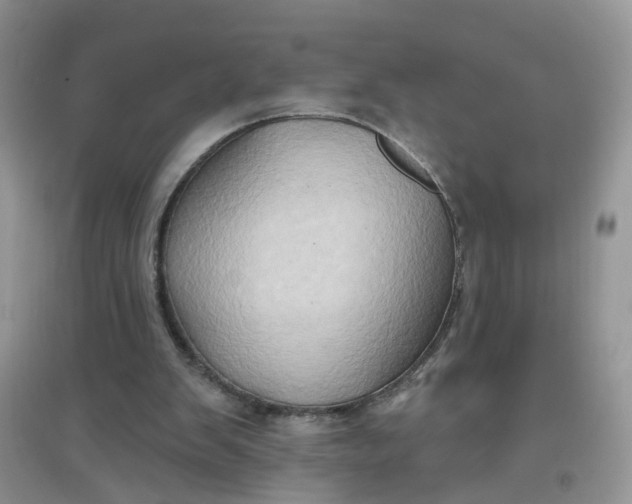 X0000097650103200803142118