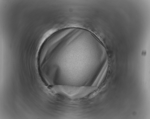 X0000097650104200803142118