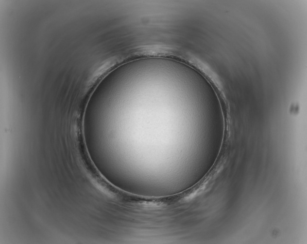 X0000097650105200803142118