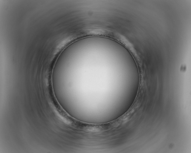 X0000097650106200803142118