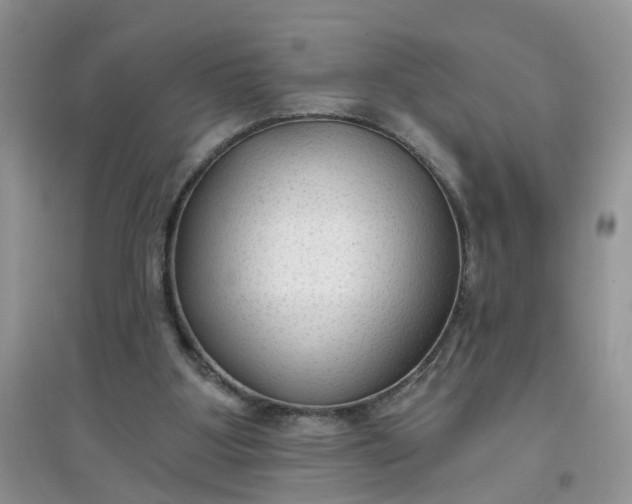 X0000097650107200803142118