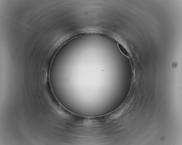 X0000097650109200803142118