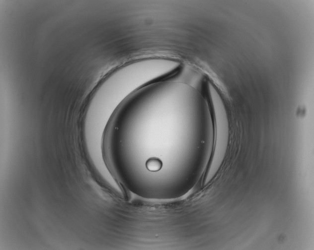 X0000097650110200803142118