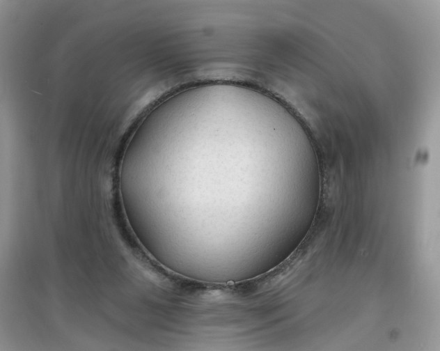 X0000097650111200803142118