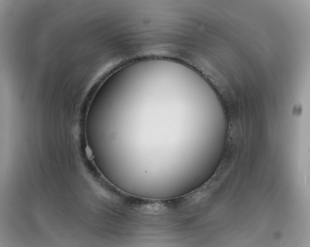 X0000097650112200803142118