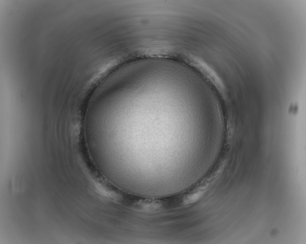 X0000097650113200803142118