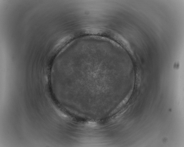 X0000097650114200803142118