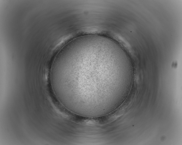 X0000097650115200803142118