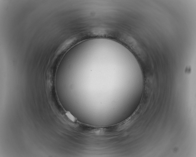 X0000097650116200803142118