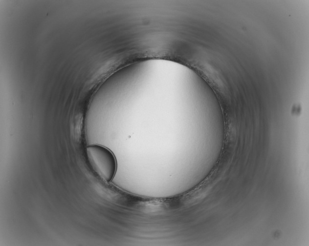 X0000097650118200803142118