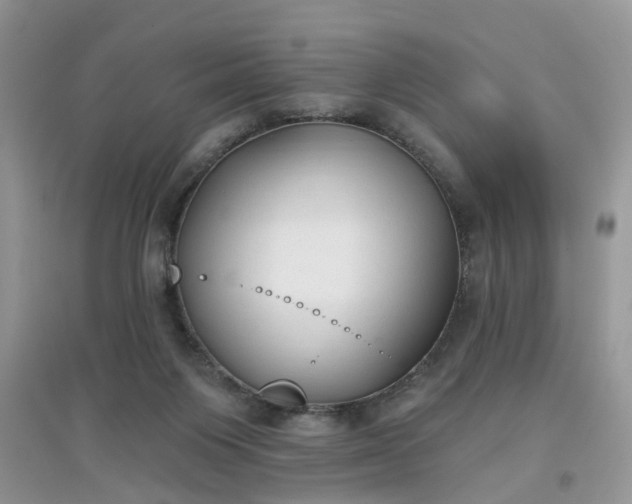 X0000097650119200803142118