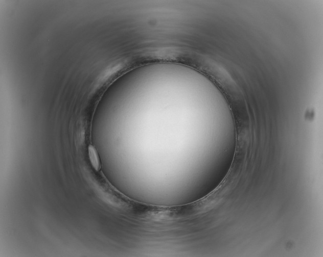 X0000097650120200803142118