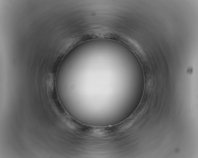 X0000097650121200803142118