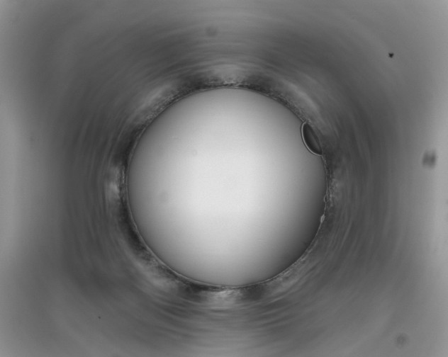 X0000097650122200803142118