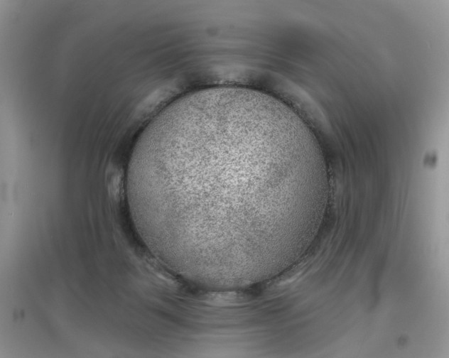 X0000097650123200803142118