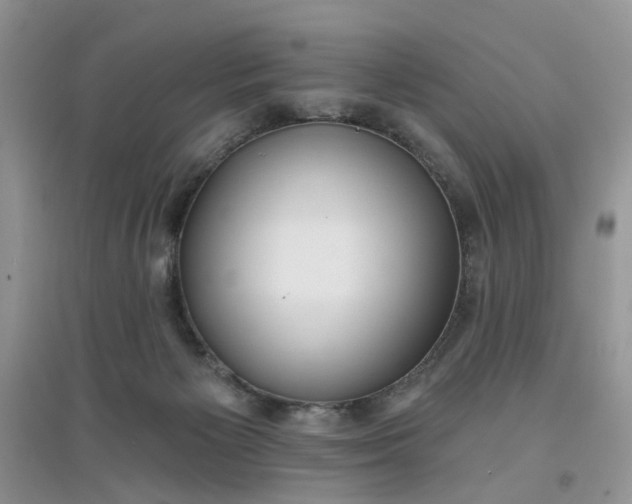 X0000097650125200803142118