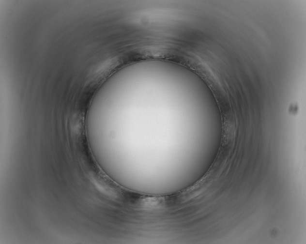 X0000097650126200803142118