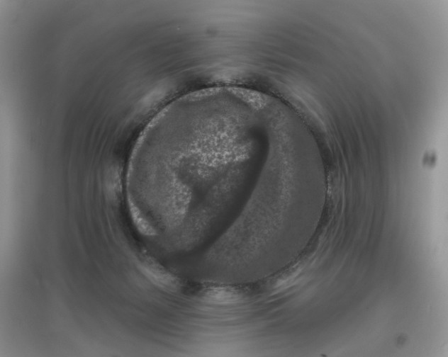 X0000097650127200803142118