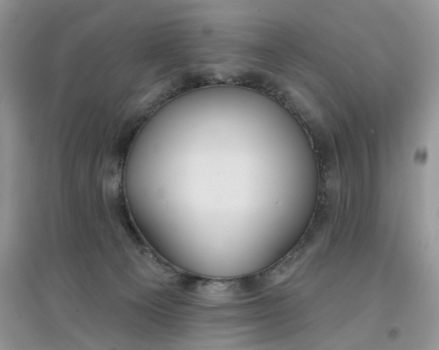 X0000097650129200803142118