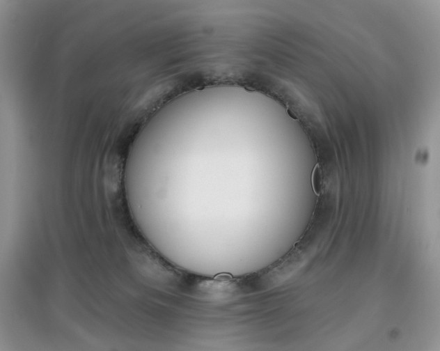 X0000097650133200803142118