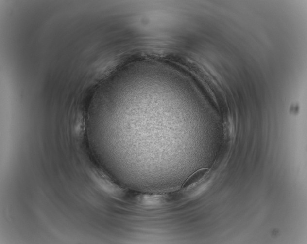 X0000097650134200803142118