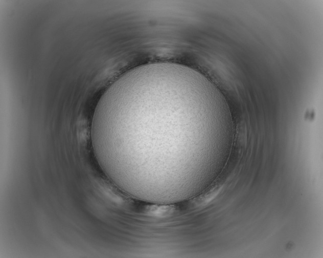 X0000097650135200803142118