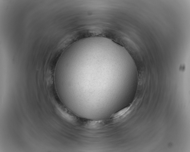 X0000097650136200803142118