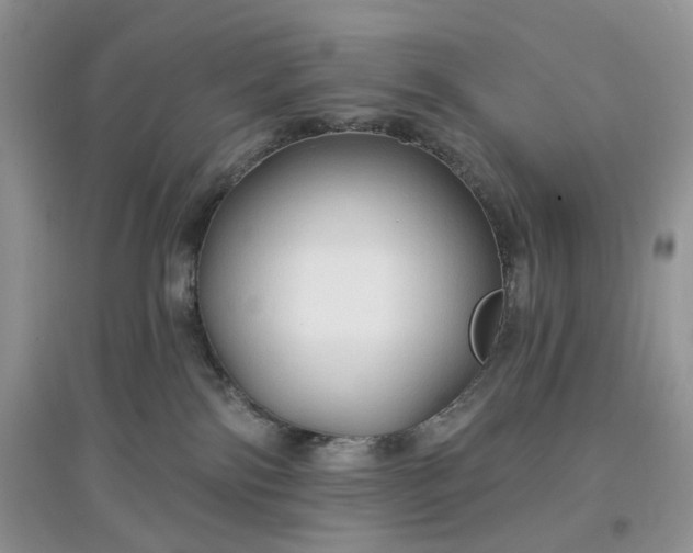 X0000097650138200803142118