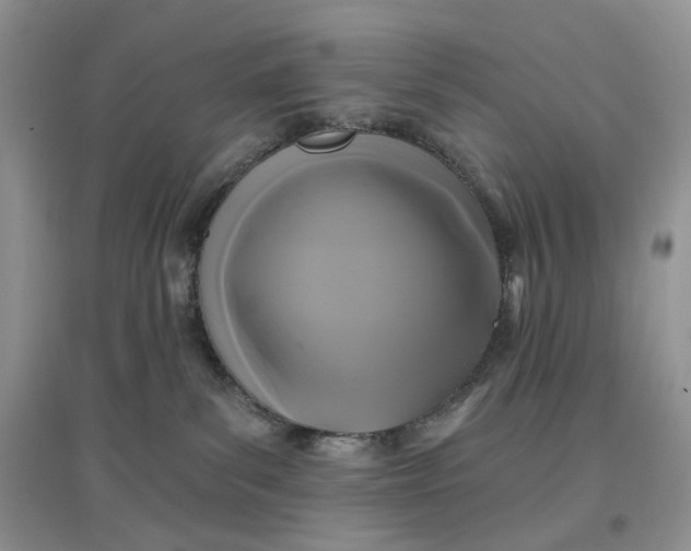 X0000097650139200803142118