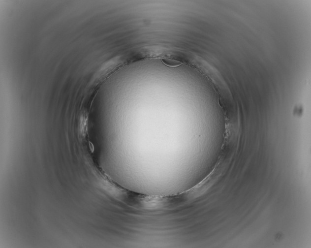 X0000097650142200803142118