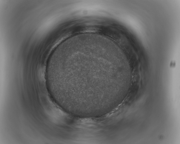 X0000097650146200803142117