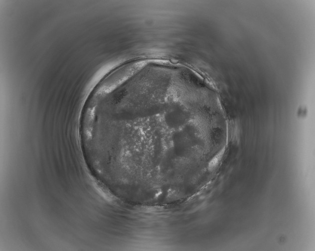 X0000097650147200803142117