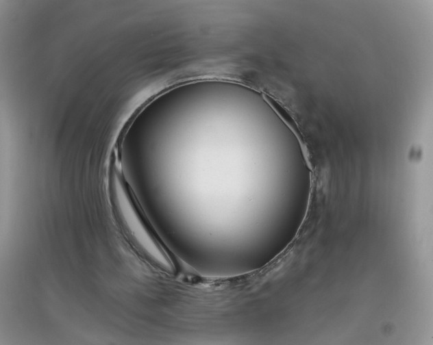 X0000097650148200803142117