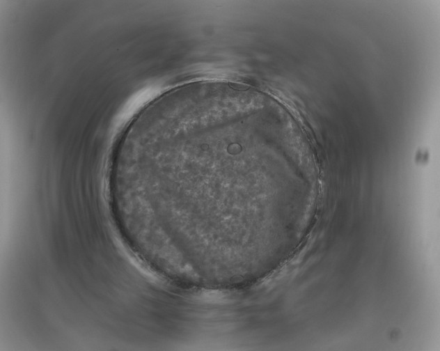 X0000097650149200803142117