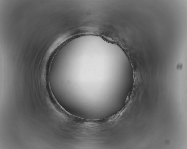 X0000097650150200803142117